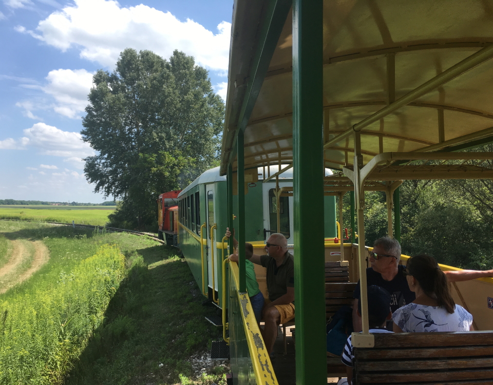 narrow gauge in hungary balatonfenyves somogyszentpal palmajor