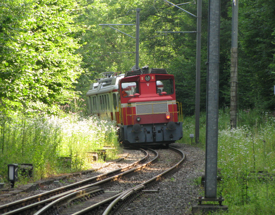 WM 2 with BDWM diesel at Erdmannlistein