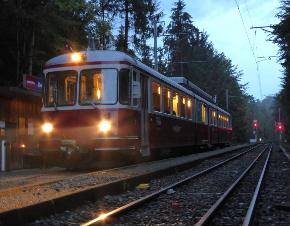 BDWM mixed gauge Erdmannlistein