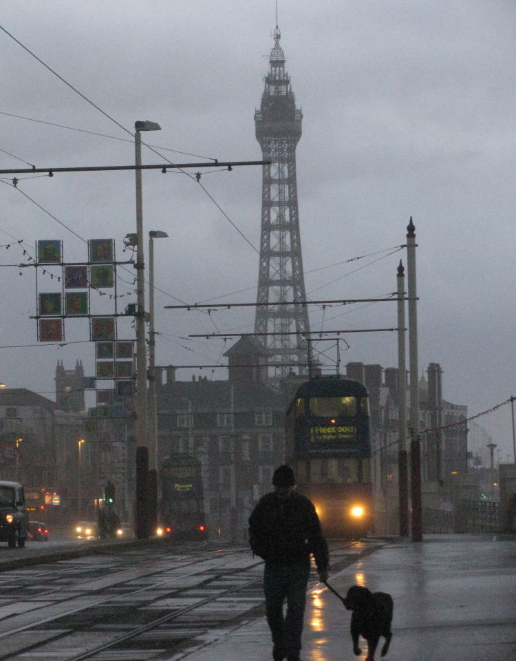 Blackpool evening, tram and dog