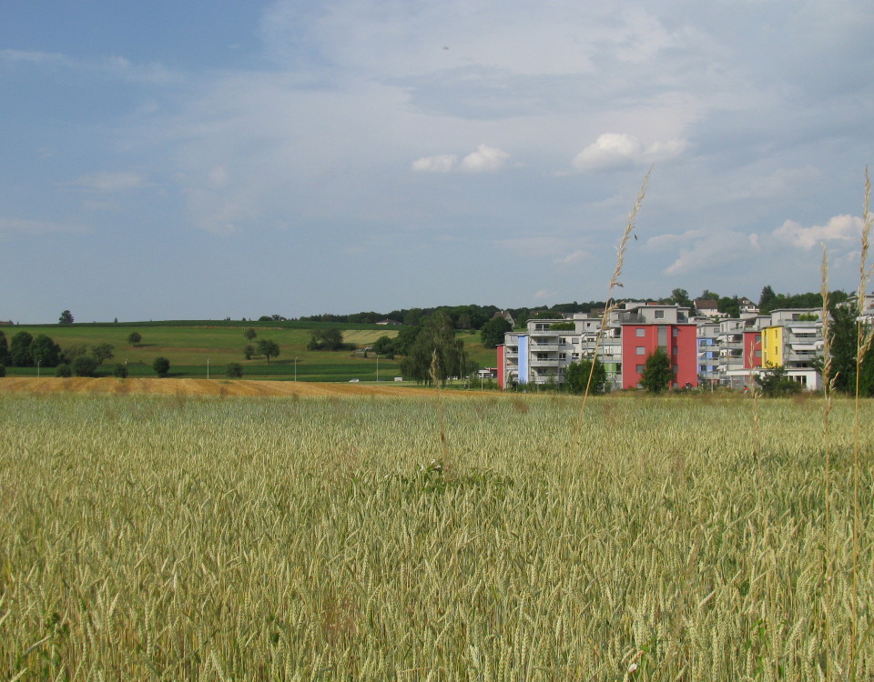click to reduce size