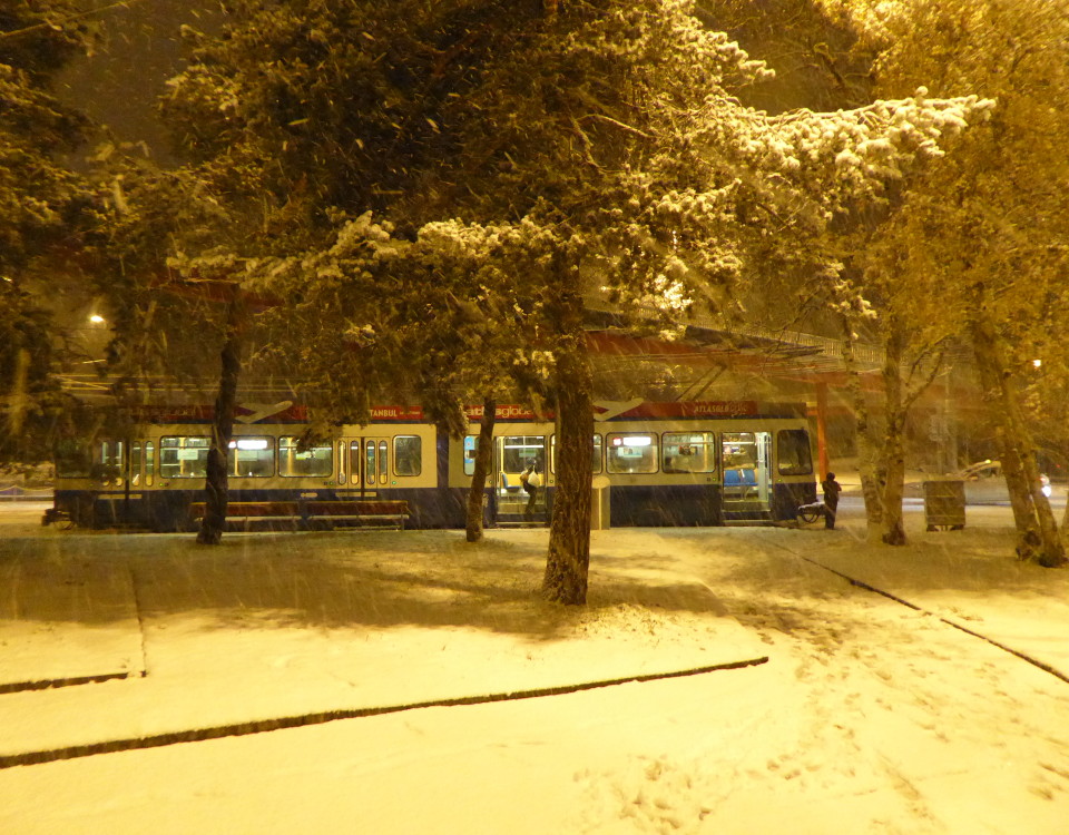 snow tram and pines at Bucheggplatz