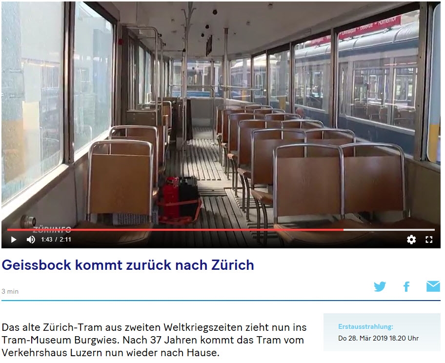 geissbock kommt zurueck nach zuerich