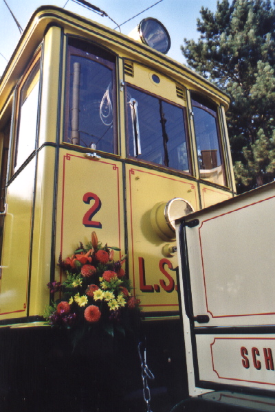 LSB tram flowers