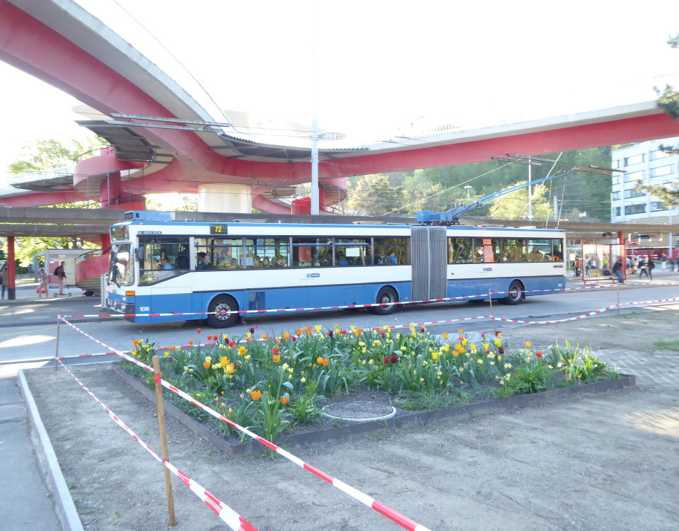 GTZ trolleybus 106 with tulips at Bucheggplatz